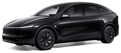 Model Y L